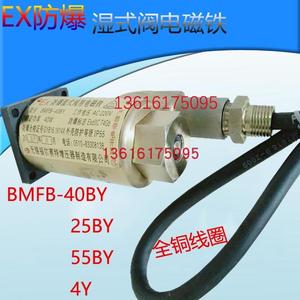 EX 防爆湿式阀用电磁铁 BMFB-25BY BMFB-40BY 8GY BMFB1-4Y 5.5Y