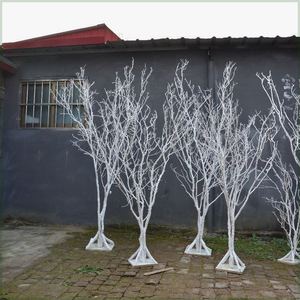 干树枝白色树干干支许愿树橱窗装饰树摄影民宿造景树珊瑚树枝