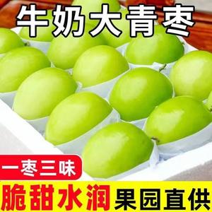 台湾牛奶新鲜大青枣苹果枣当季贵妃奶蜜枣水果甜冬枣子整箱5包邮1