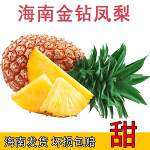 海南凤梨三亚新鲜水果金钻凤梨17号牛奶金菠萝非手撕无眼菠萝5斤