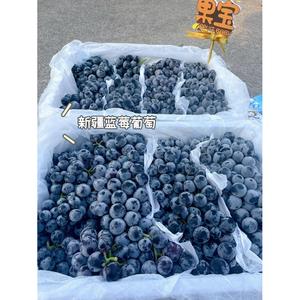 正宗新疆蓝莓葡萄当季新鲜现摘吐鲁番无籽黑提子顺丰包邮孕妇水果