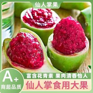 仙人掌果食用大果海南新鲜可吃仙人果应季热带稀奇古怪水果实现摘