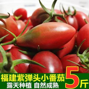 迷彩小番茄圣女果新鲜小西红柿子非海南千禧铁皮生吃水果蔬菜 5斤