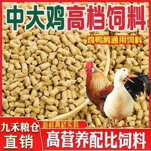 鸡饲料喂鸡鸭鹅通用营养颗粒饲料20斤小鸡开口料厂家直销育肥肉鸡