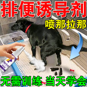 狗狗定点排便神器诱导剂狗大小便宠物比熊狗厕所诱导剂训练防乱尿