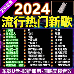 汽车载u盘歌曲2024新款无损高音质品质车用抖音经典DJ音乐usb优盘