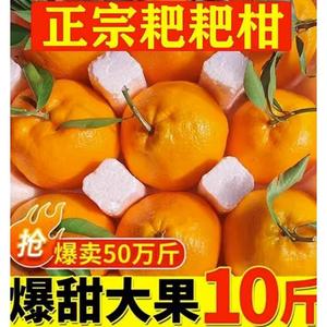 四川春见耙耙柑新鲜水果丑柑桔橘子大果孕妇粑粑干整箱10斤特级5