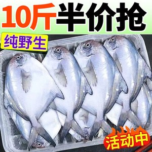 【安心购】银鲳鱼特大深海新鲜鲜活海鲜冷冻深海白鲳鱼平鱼昌鱼
