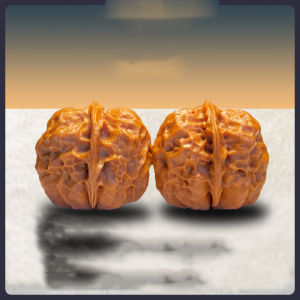 云南铁核桃元宝