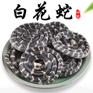 正宗金钱白花蛇一条特级名贵中药材小白花蛇另有乌梢蛇蜈蚣全蝎