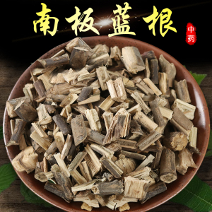 南板蓝根中药材