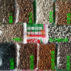 东北油豆角种子一棵松一挂鞭矮生黄金勾紫花油豆翻白眼