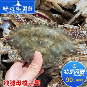 北京闪送 2斤 6-7只鲜活残腿 满黄母梭子蟹膏蟹肉蟹 新鲜海捕飞蟹