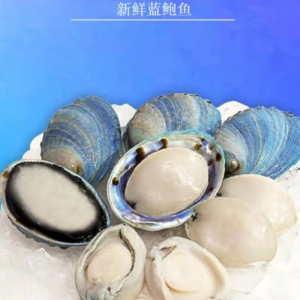 6只装400g 北京闪送 新西兰进口 蓝鲍鱼 蓝壳鲍鱼活冻可刺身 海鲜