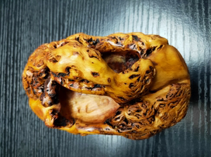 精选黑果木树瘤手把件 自然根随型根雕木雕