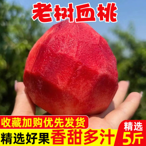 血桃5斤水果新鲜现摘现发红心桃子当季毛桃整箱脆桃应季水蜜桃子