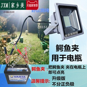 12伏led灯泡电瓶灯