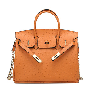 香港bvz 专柜鸵鸟皮铂金包高级感欧美时尚大牌女包奢侈品真皮包袋