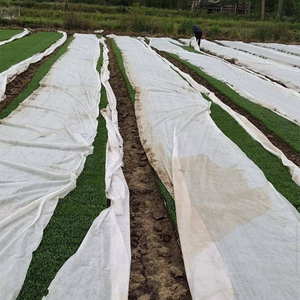 农用水稻育秧育苗无纺布整卷草坪草籽茶园覆盖地膜保温保湿透气膜