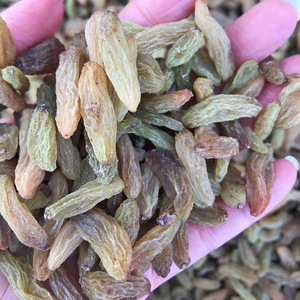 新疆特产香蕉王葡萄干吐鲁番葡萄干无籽无核500g