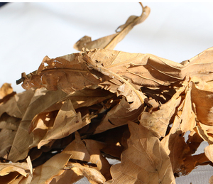 造景枯叶