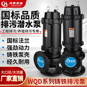 污水泵排水380V220V潜水泵抽粪泥浆小型家用高扬程大流量排污泵