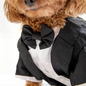 狗狗西装礼服结婚喜庆衣服泰迪狗礼服宠物西服两件套四脚衣燕尾服