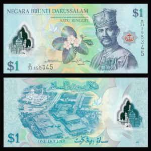 亚洲 全新unc 文莱1林吉特 塑料钞纸币 外币 外国钱币_阿里巴巴找货神