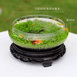 玻璃花瓶花盆水培花卉盆栽绿植生态小鱼缸乌龟缸 水族水草 生态缸