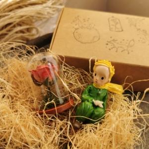 小王子的玫瑰花系列礼物玻璃罩迷你纯手作创意520纪念日生日礼物