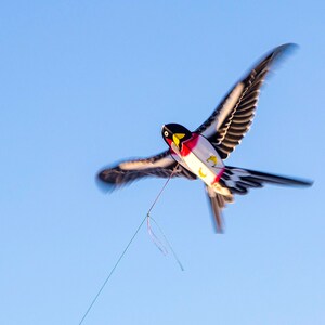 小风筝儿童手持2022年新款蝴蝶老鹰燕子筝微风易飞室外鱼竿小风筝