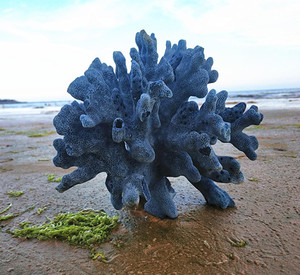 珊瑚石天然装饰