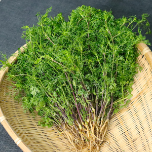 香菜泰国香菜大芫荽新鲜带根刺芹香菜泰料野生大芫西野香菜79人付款