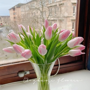 粉色郁金香鲜花