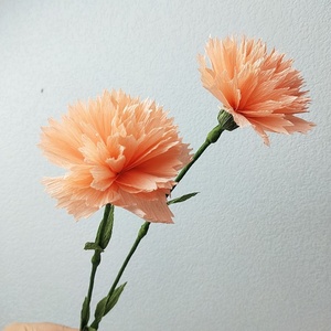 皱纹纸康乃馨diy手工材料包套装可做11朵带模板和视频教程