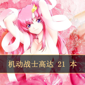 机动战士高达拉克丝克莱茵动漫本子二次元21