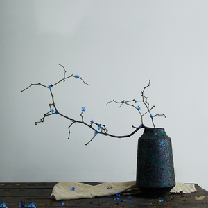 棘枝假森系装饰小枝干枝.干支枯树干花花插禅意真梅花花瓶枝干花