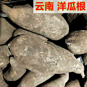 新鲜洋瓜根云南洋茄子跟洋丝瓜佛手瓜根临沧特产耿马农家种植蔬菜