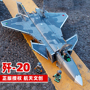 歼20战斗机积木拼装玩具军事系列飞机乐高男孩生日礼物六一儿童节