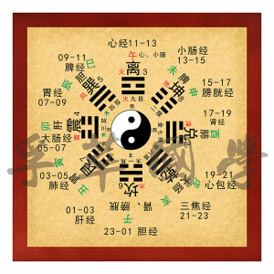 周易后天八卦十二时辰十二经络易经太极中医养生玄关相框装饰挂画
