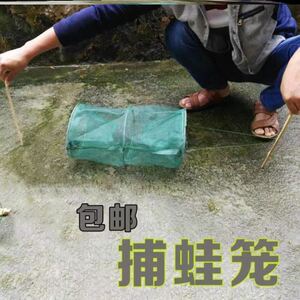 青蛙捕捉笼高效诱捕田鸡笼牛蛙笼装青蛙的笼子捕青蛙笼子神器专业