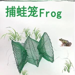 青蛙捕捉笼高效诱捕田鸡笼牛蛙笼装青蛙的笼子捕青蛙笼子神器专业