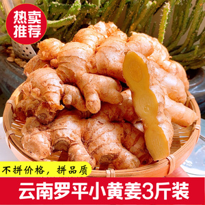云南罗平小黄姜老姜农家新鲜生姜调味料3斤装月子姜炒米蔬菜姜母