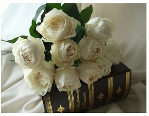 伊芙月季系列婚礼