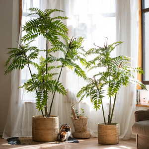掬涵大型仿真植物香椿树假绿植盆景摆件室内客厅北欧仿生橱窗装饰