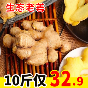四川生态老姜生姜大黄姜新鲜姜现挖月子姜姜母土姜火姜新鲜蔬菜