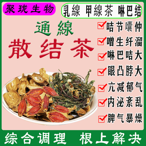 蒲公英茶袋装