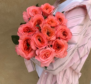 伦敦眼玫瑰鲜花  母亲节送友 桃粉色玫瑰 花型瓣卷
