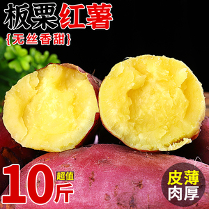 陕西正宗板栗红薯10斤新鲜小香薯蜜薯桥头地瓜农家自种沙地板栗薯