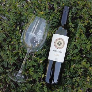 阿根廷红酒rutini露蒂尼瑞帝利进口马尔贝克干红特浓情真品葡萄酒